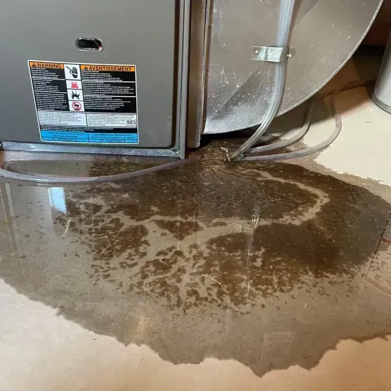 Appliance Leak Cleanup in McHenry, IL